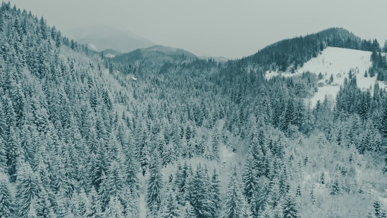 冬季空中山景秀丽。无人机在黑暗和多变的天气中在积雪覆盖的松林上空移动。视频素材