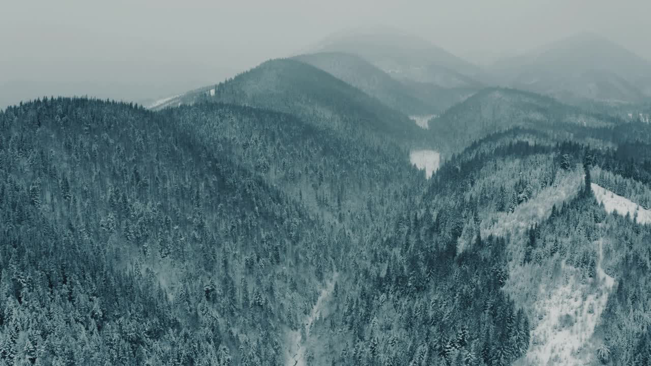 冬季空中山景秀丽。无人机在黑暗和多变的天气中在积雪覆盖的松林上空移动。视频素材