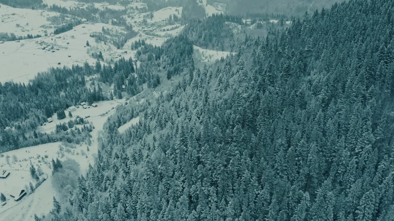 冬季空中山景秀丽。无人机在黑暗和多变的天气中在积雪覆盖的松林上空移动。视频素材