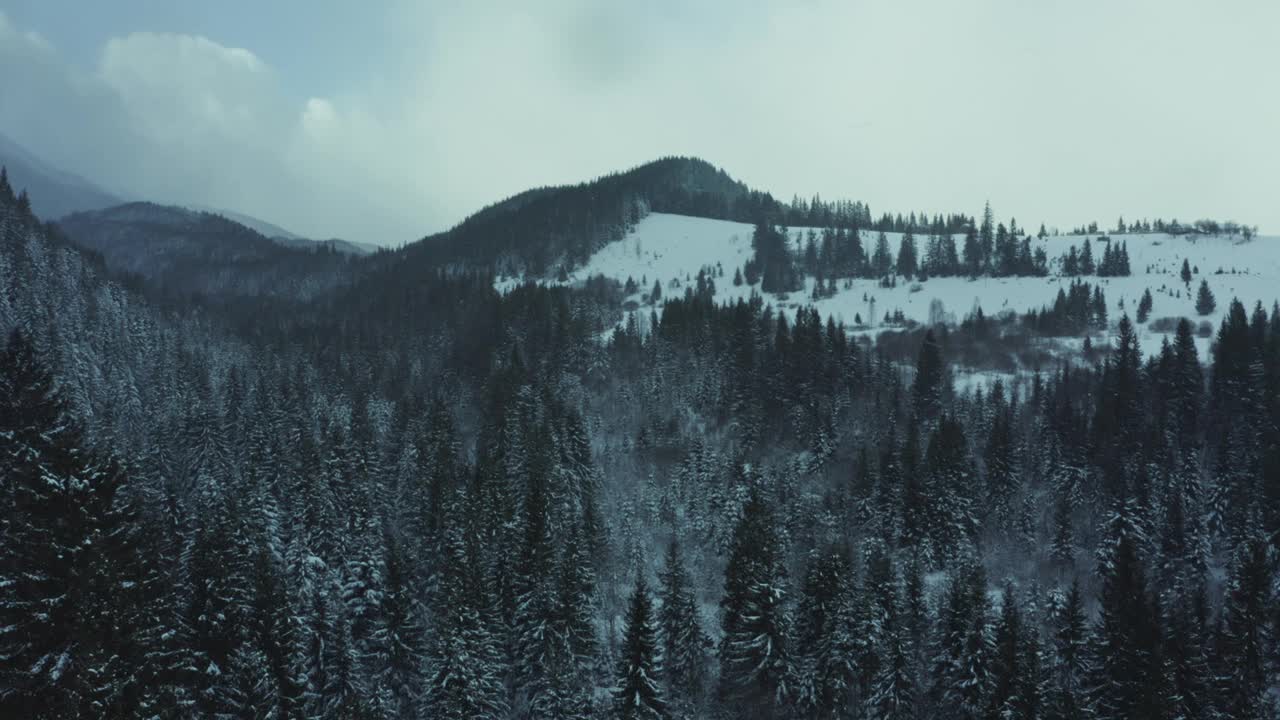 冬季空中山景秀丽。无人机在黑暗和多变的天气中在积雪覆盖的松林上空移动。视频素材