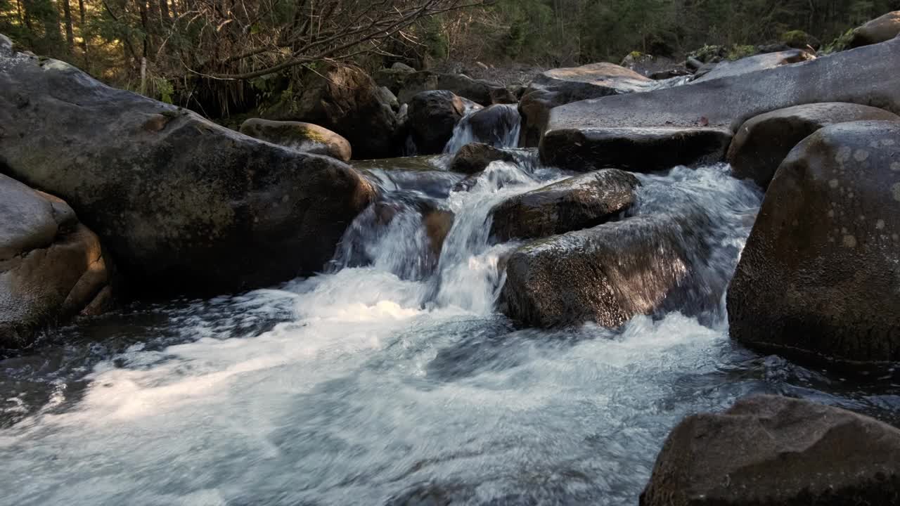 乌克兰山区的小溪流视频素材