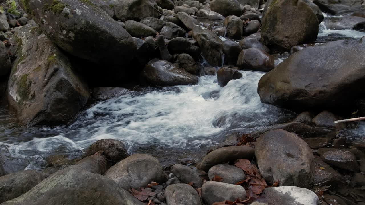 乌克兰山区的小溪流视频素材