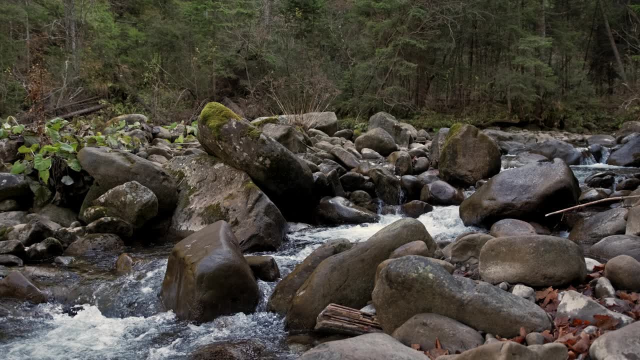 乌克兰山区的小溪流视频素材