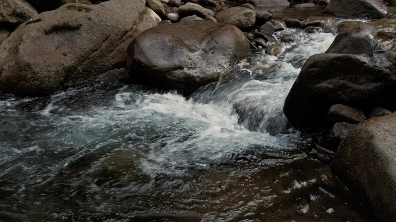 乌克兰山区的小溪流视频素材