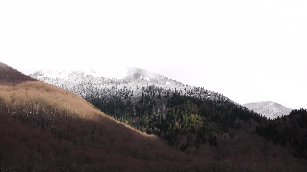 雾笼罩在生物葛拉斯卡国家公园的山峰上视频素材