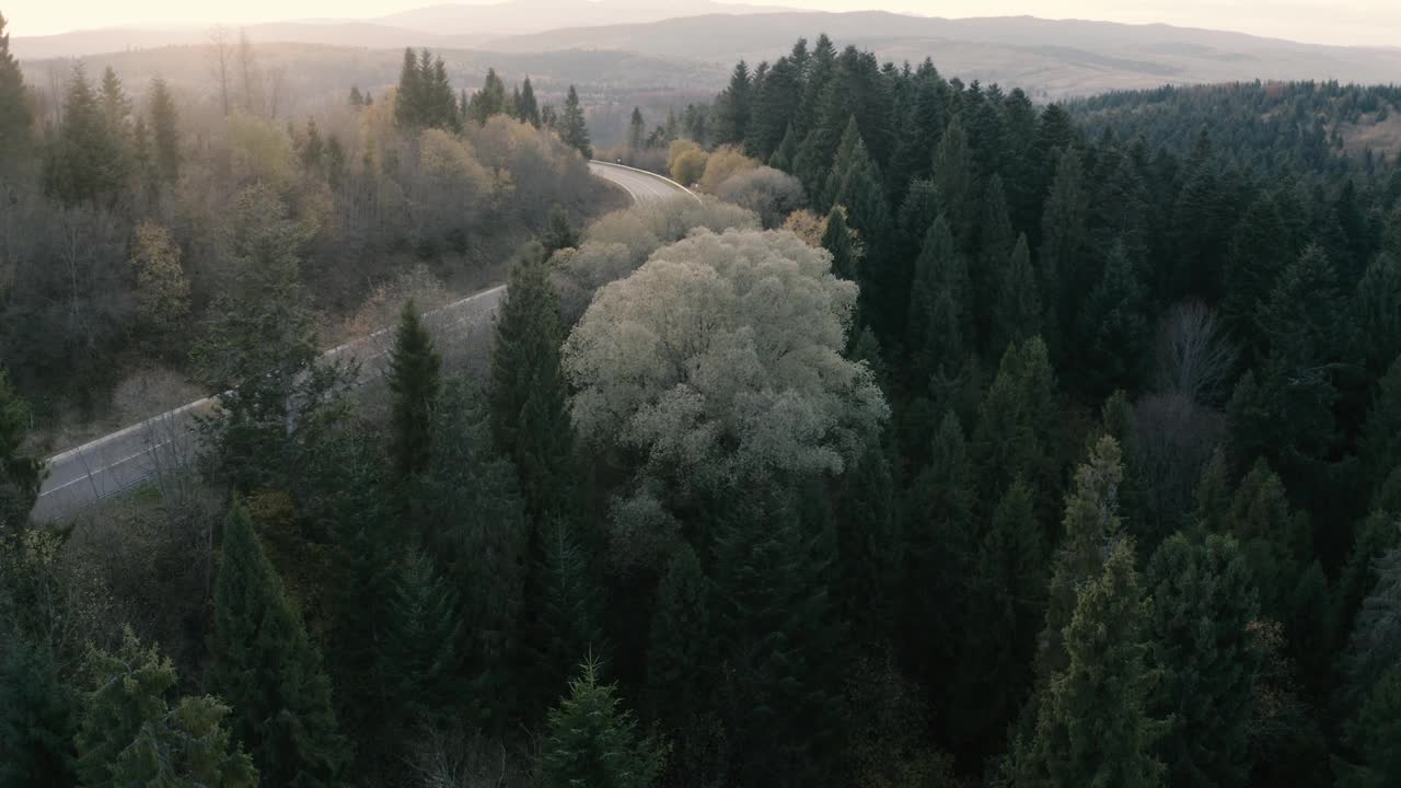 山上的傍晚。沥青质量的道路。视频素材