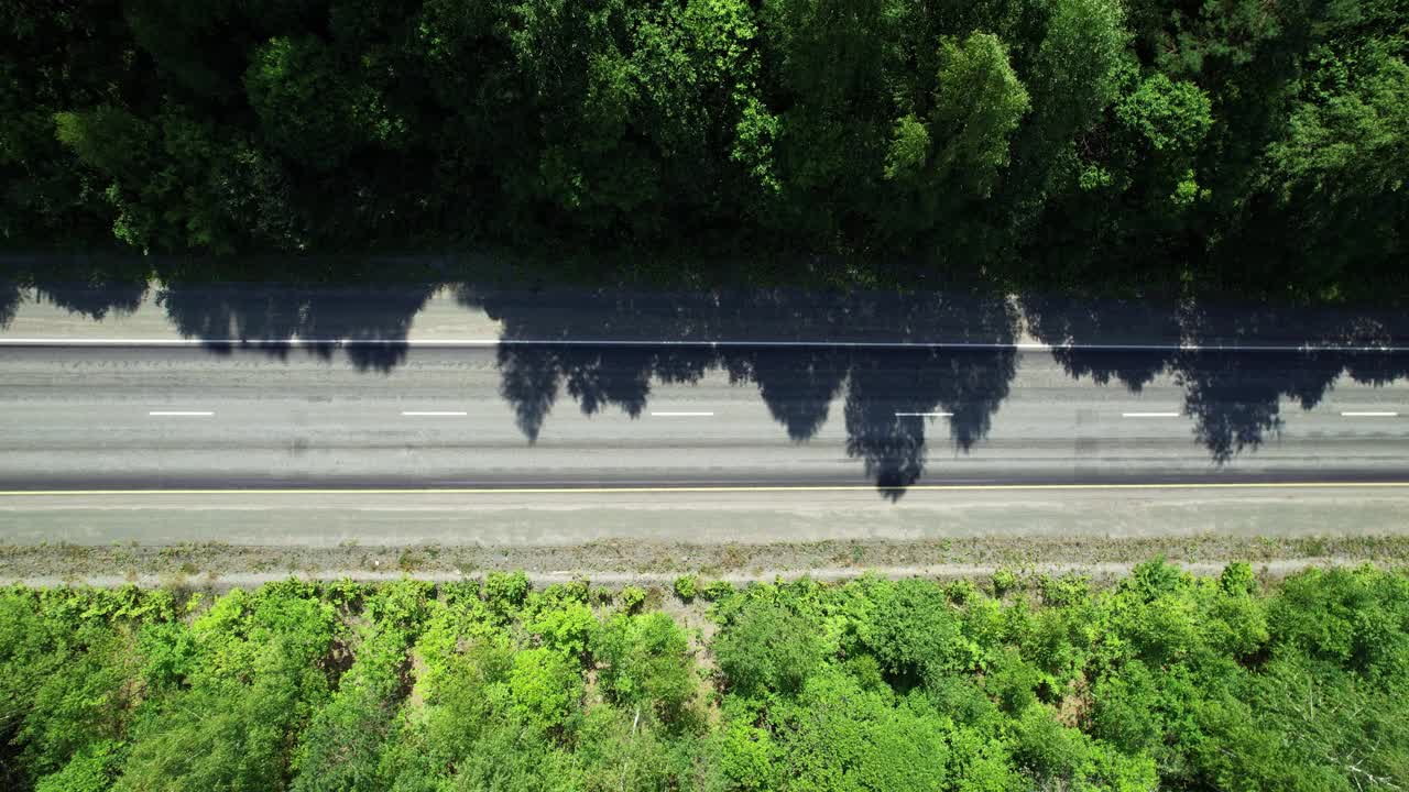 穿过茂密森林中心的公路。一条空旷的高速公路，高度为。视频素材