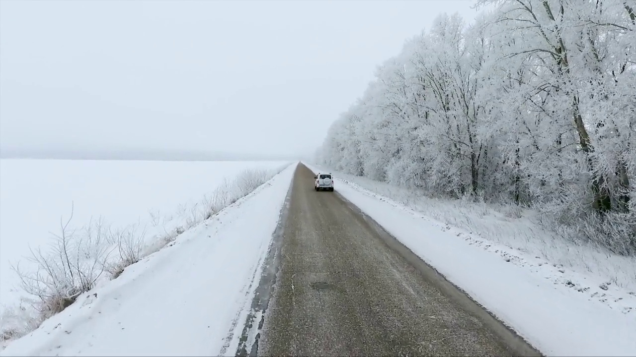 冬天，一辆白色的汽车行驶在笔直的道路上，旁边是白雪覆盖的树木。视频素材