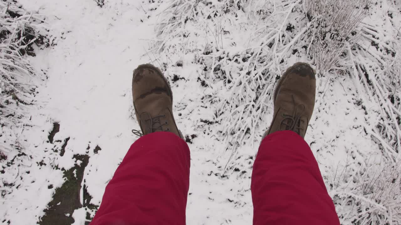 冬天的景色，雪松森林的景色和山上的滑雪缆索视频素材