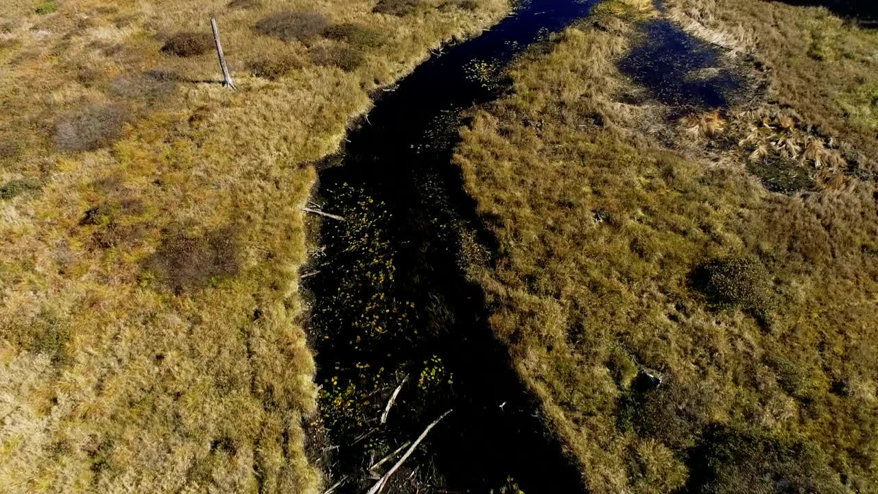 湿地景观视频素材