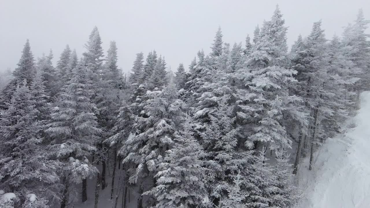 冬季景观与雪在冬季森林自然。大雪在圣诞景观。空中无人机视频。视频素材