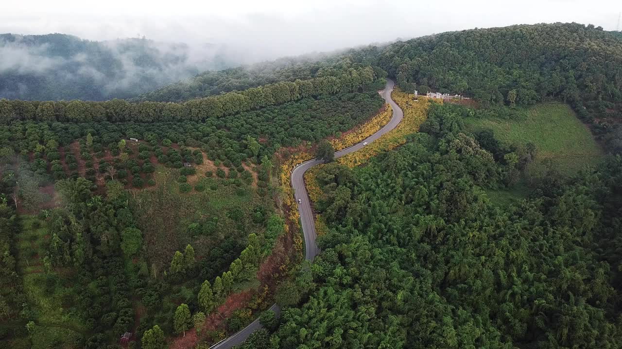 鸟瞰图，汽车行驶在陡峭的道路上，美丽的墨西哥花朵盛开在土doi Pae Luang，这是泰国清莱省Phaya Mengrai地区的一个标志性景点。视频素材