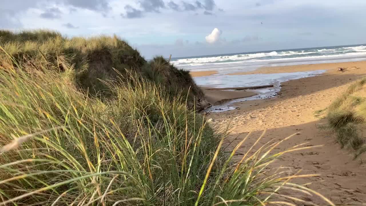 沙丘上的草随风飘荡，可以看到布列塔尼的海岸和海滩视频素材