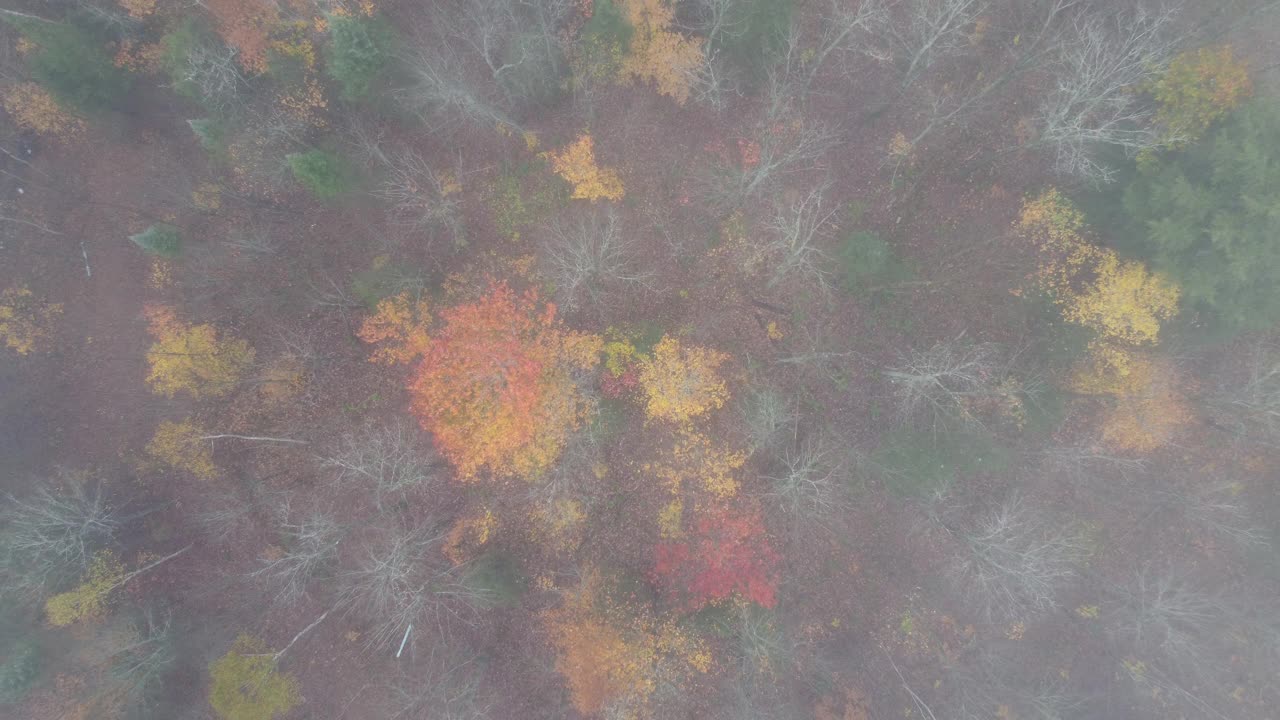 空中全景图，一个美丽的湖泊在森林中五颜六色的树木在秋天。摄于加拿大安塔里奥的马斯科卡湖。视频素材