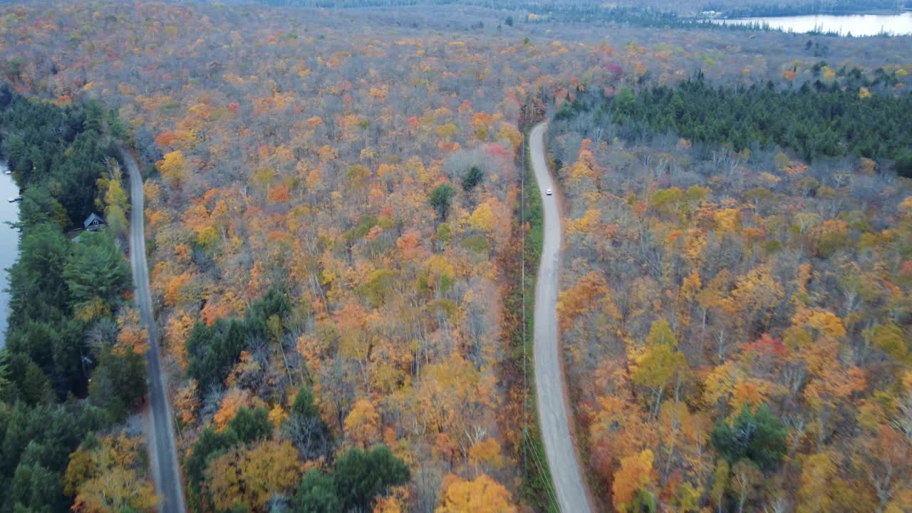 鸟瞰图在秋天森林中的道路，摄于加拿大安塔里奥的马斯科卡湖。视频素材