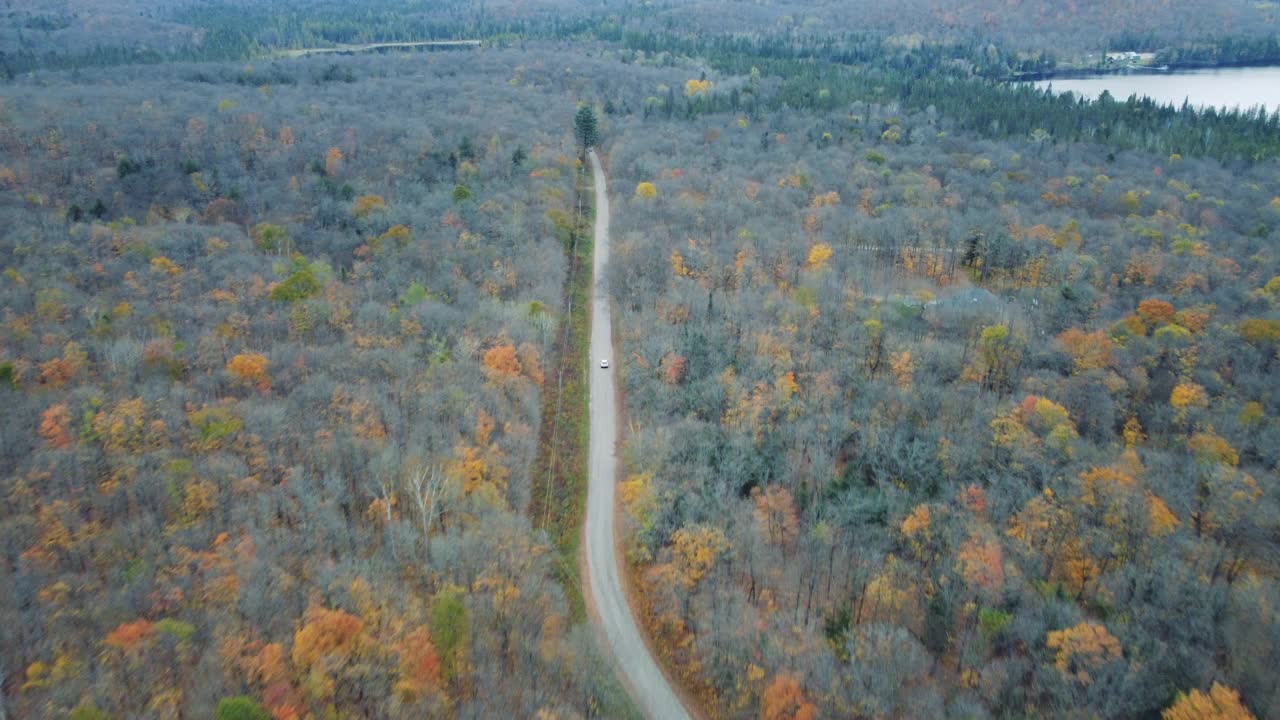 鸟瞰图在秋天森林中的道路，摄于加拿大安塔里奥的马斯科卡湖。视频素材