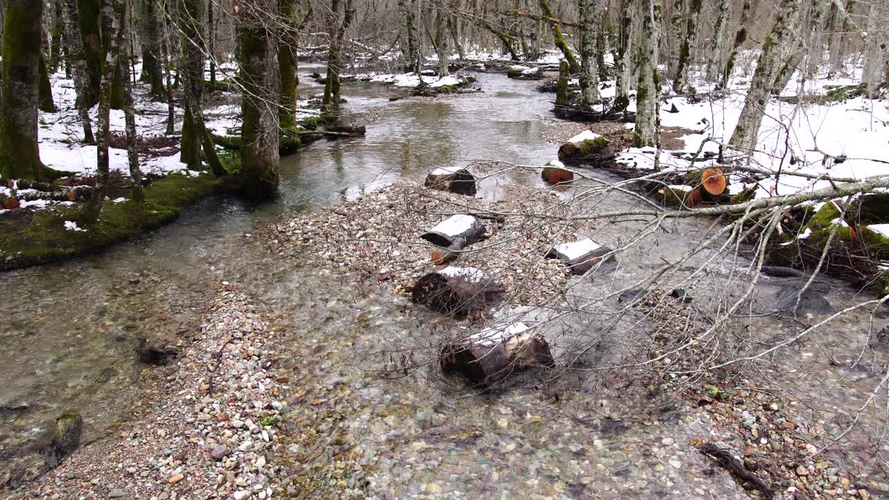 在生物葛拉斯卡国家公园，河流在树木之间流动视频素材