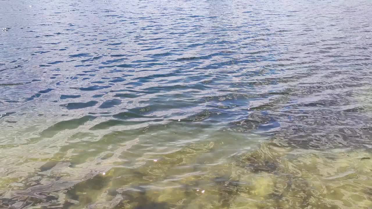 清澈的水面，狂野湖面上的波浪，特写视频素材