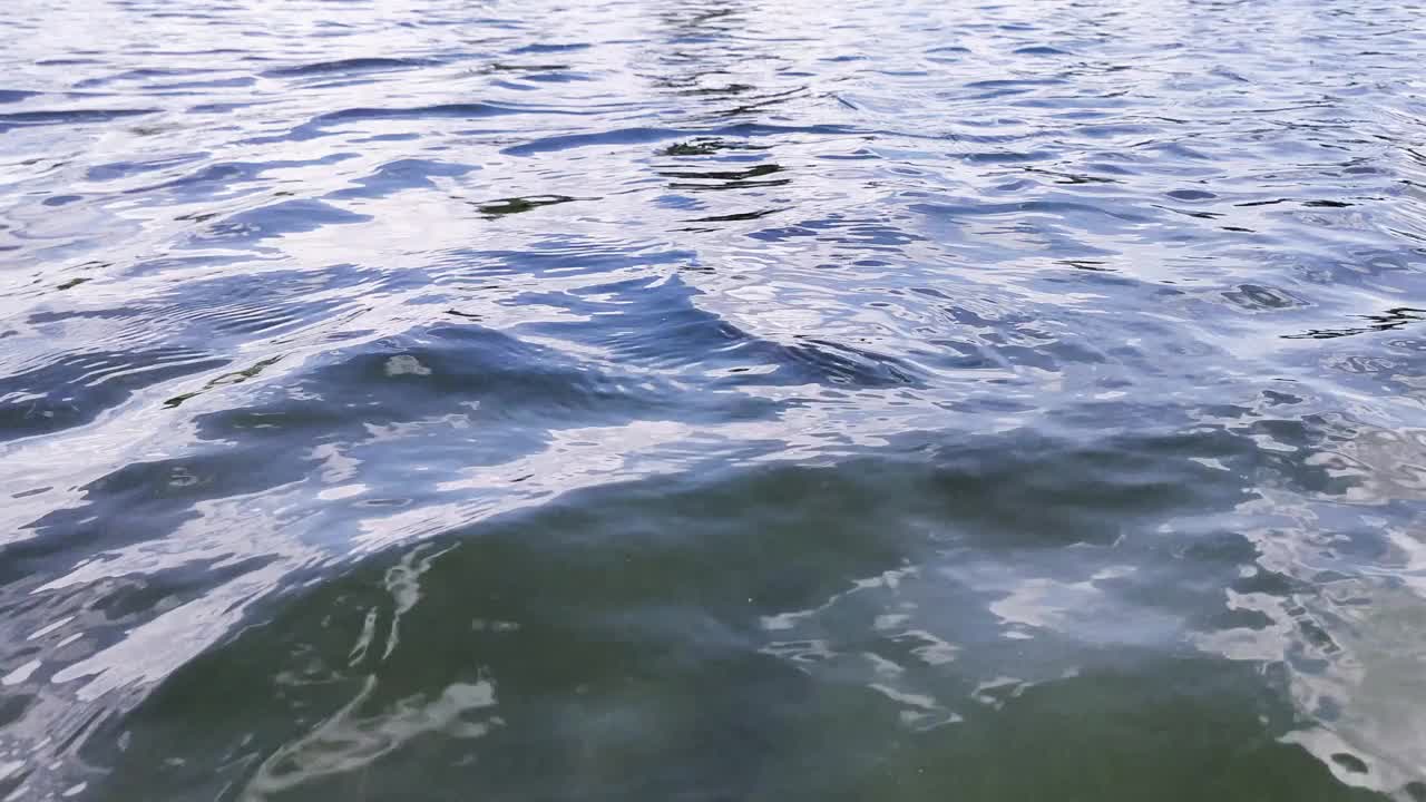 清澈的水在野生湖上闪亮的波浪，特写循环视频素材