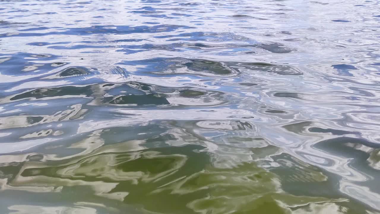 清澈的水在野生湖上闪亮的波浪，特写视频素材