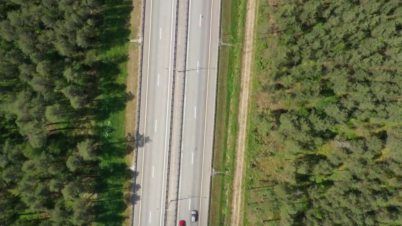 鸟瞰森林里的乡村公路视频素材