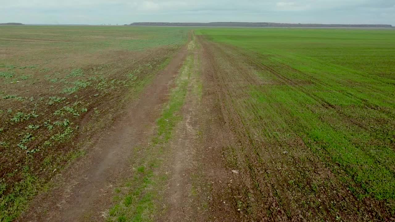 我飞在冬天前种下的新地里视频素材