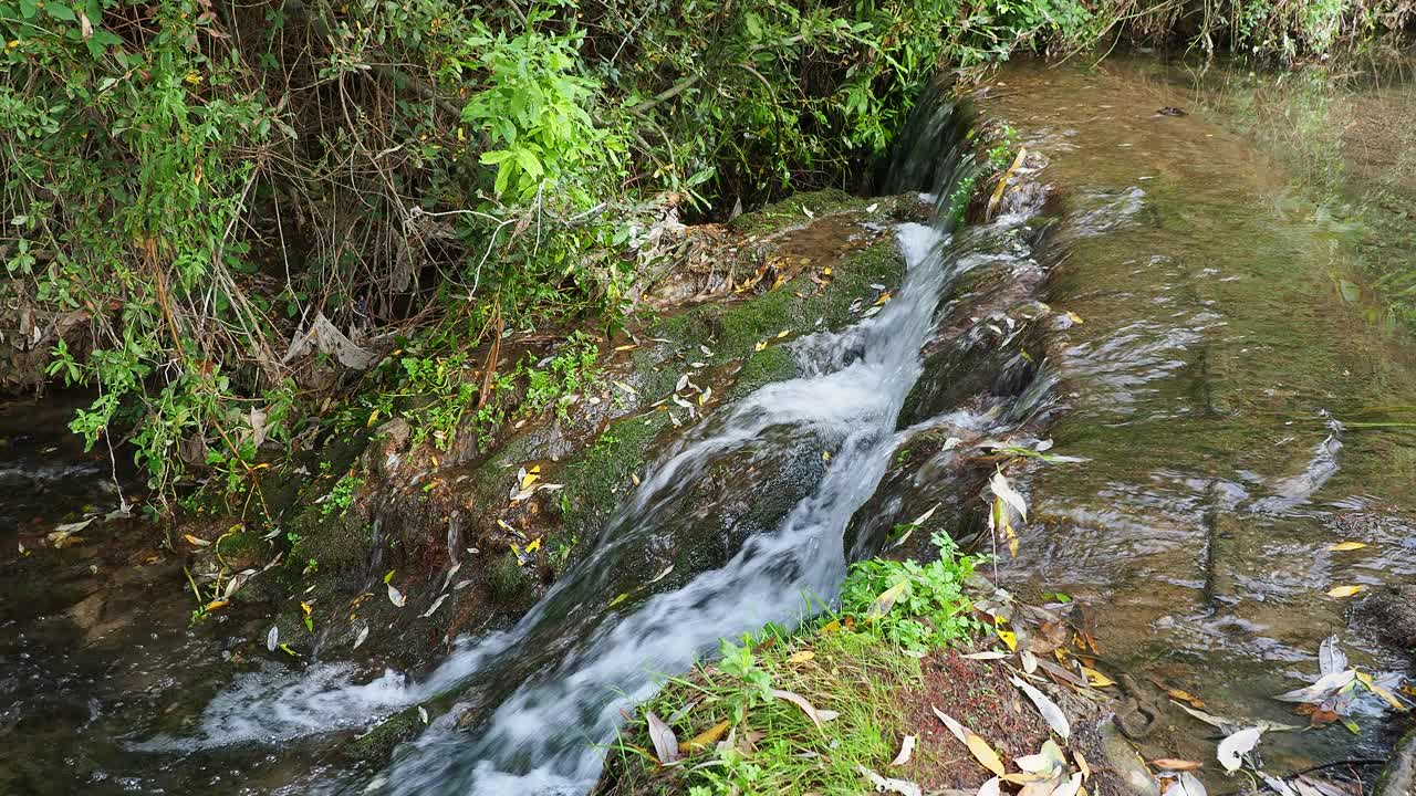 秋天的小河岸边，河水清澈透明。视频素材