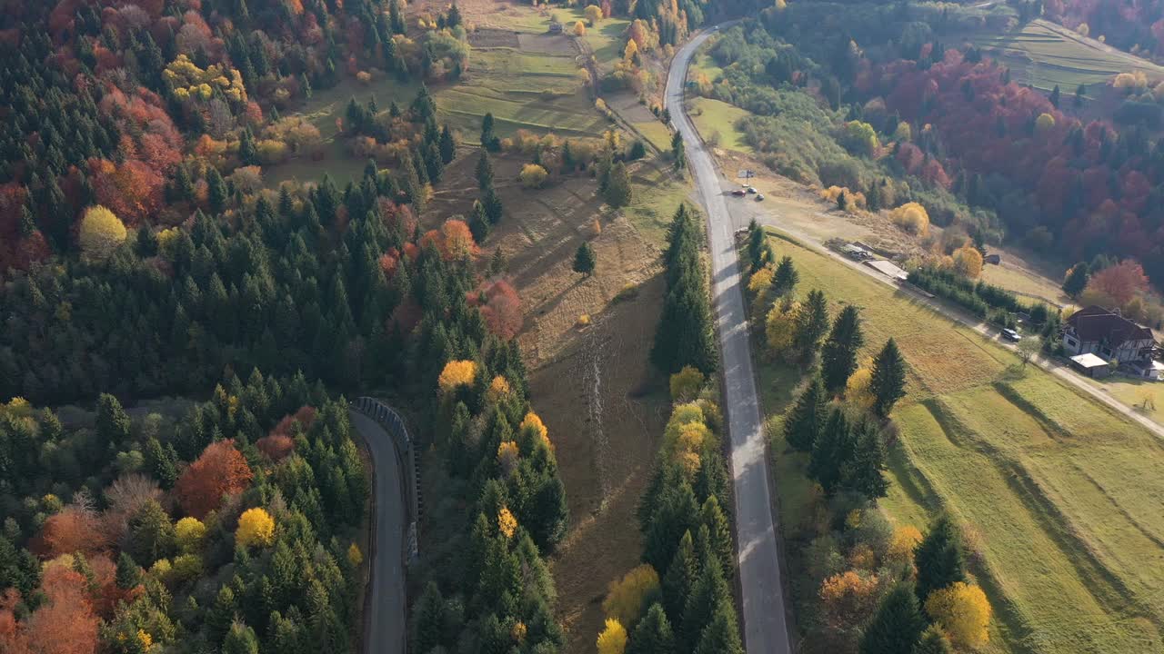 鸟瞰图的山路在绿色的山丘和山脉中被松树和橙色的秋天山毛榉树覆盖视频素材