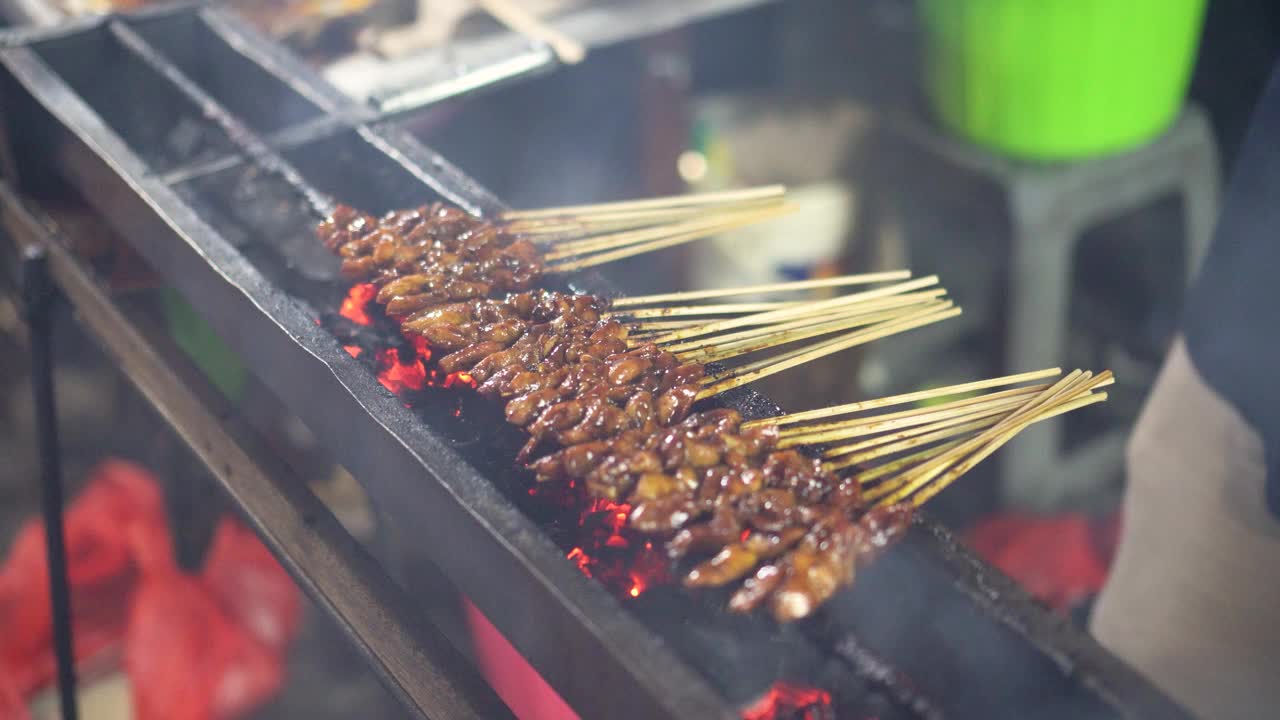 烧烤鸡肉沙爹视频素材