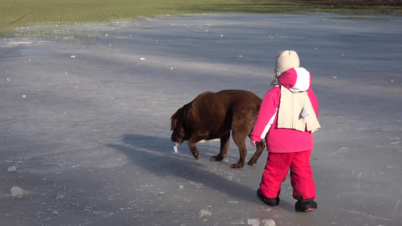 冰上的金发小女孩和她的巧克力棕色的拉布拉多猎犬视频下载