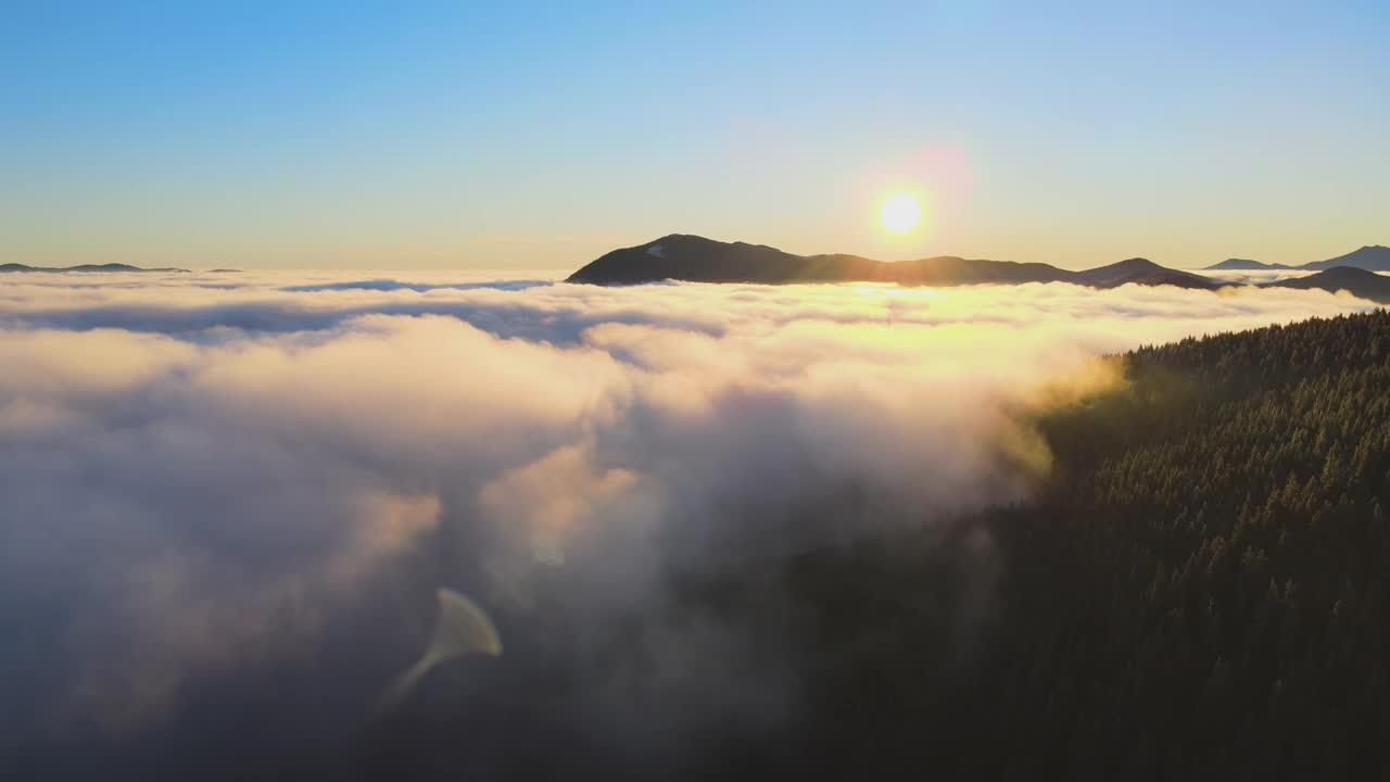 鸟瞰图充满活力的日出在山上覆盖着常绿的云杉在秋天。视频素材