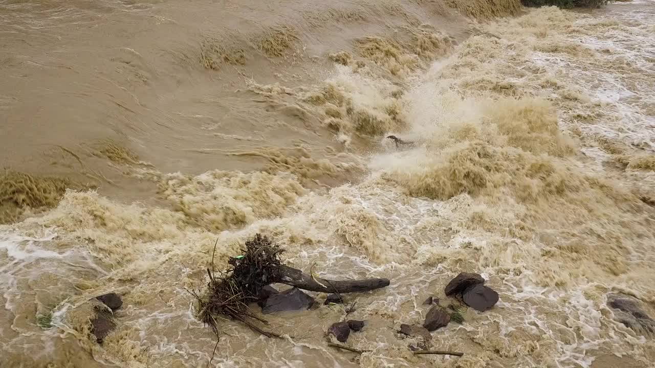 鸟瞰图:在春季暴雨期间，河水泛滥，河水浑浊。视频素材