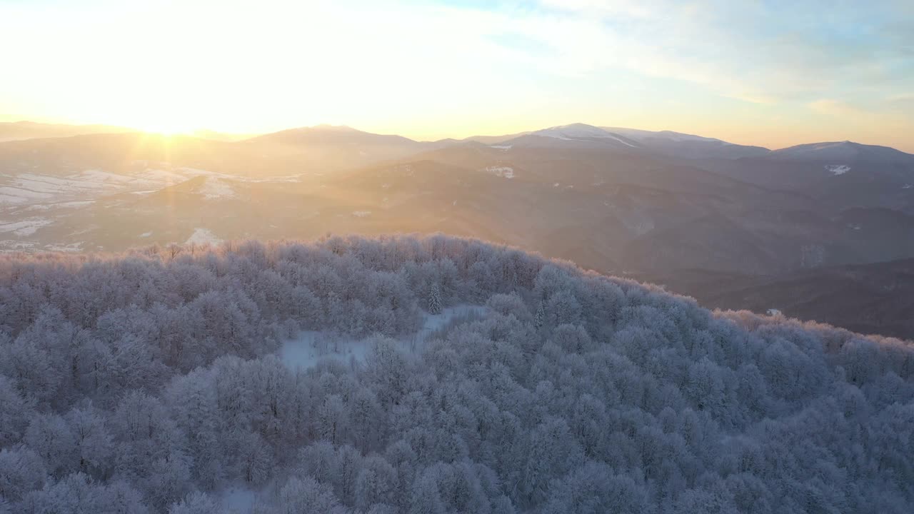 冬天的日出在山上的森林，美丽的白雪覆盖的树木被早晨的阳光照亮视频素材