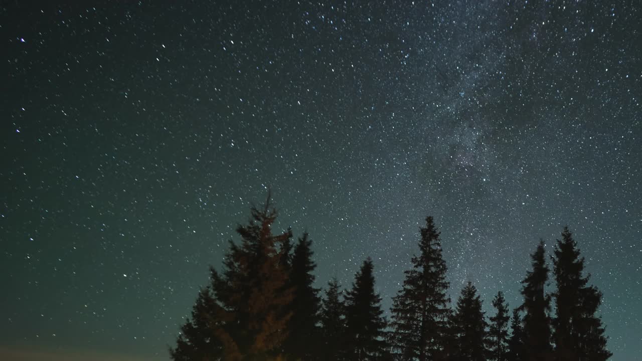 夜空中明亮的星星和在黑暗的松林上方的银河的时间推移视频素材