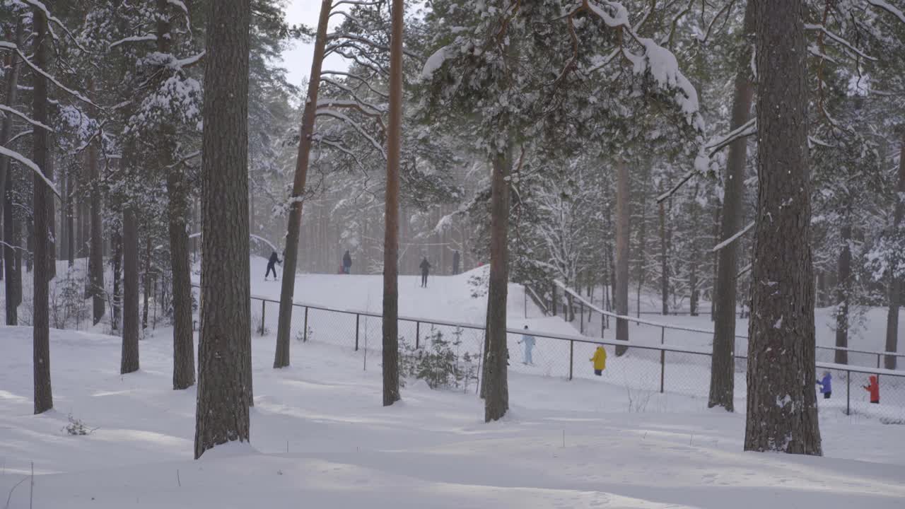 在一个阳光明媚的冬日滑雪视频素材