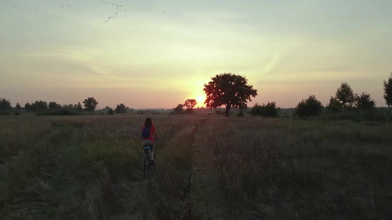 旅行。一个女人骑着自行车穿过草原。鸟瞰图。视频素材