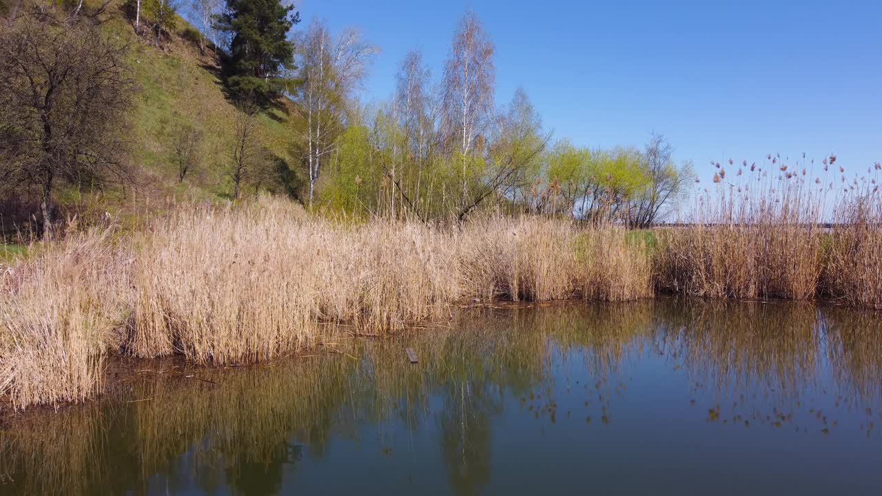 干芦苇在湖岸附近的水，鸟瞰视频素材