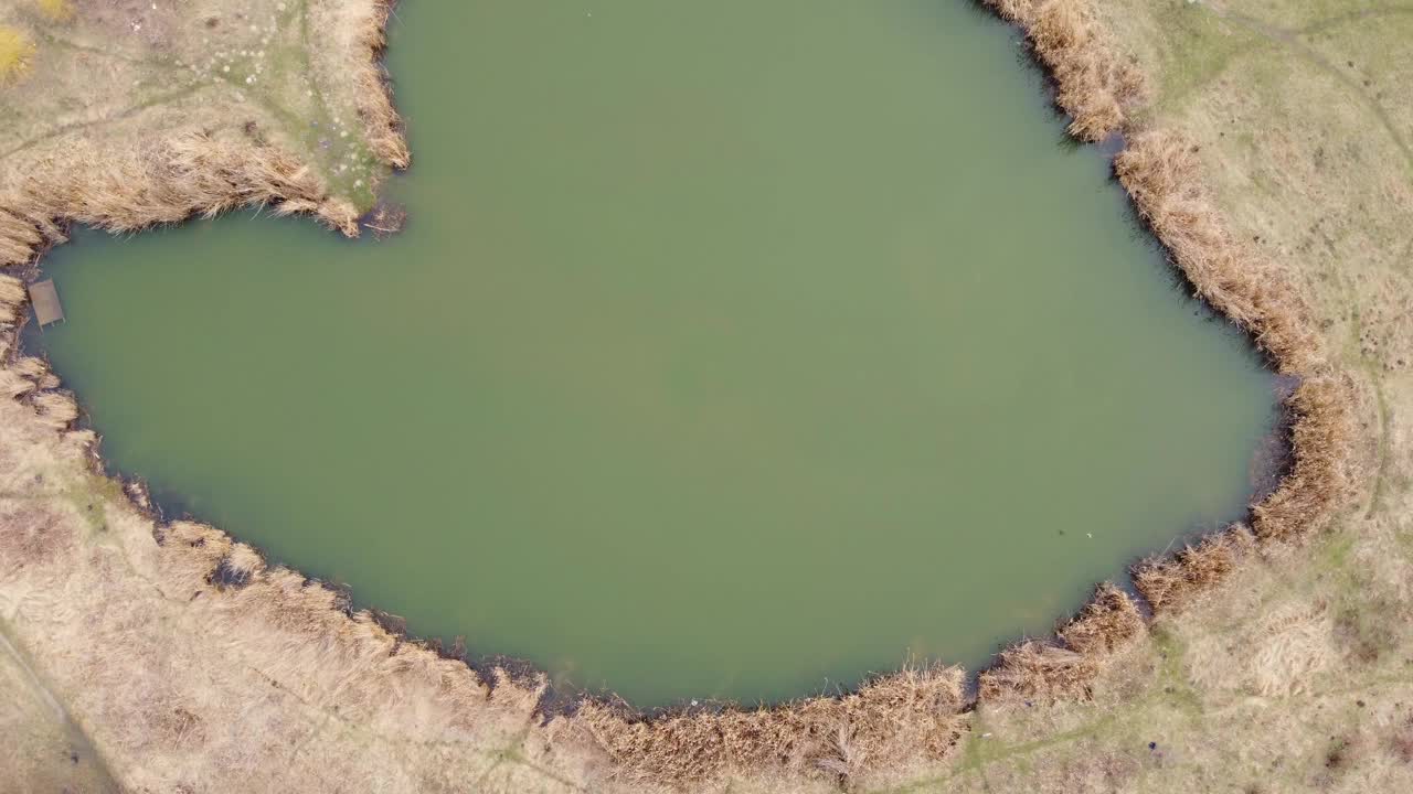 心形湖与岸上的干芦苇，鸟瞰图视频素材