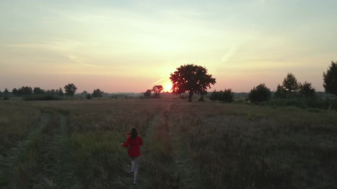 运行。日落时，一个女人跑过田野。鸟瞰图。视频素材