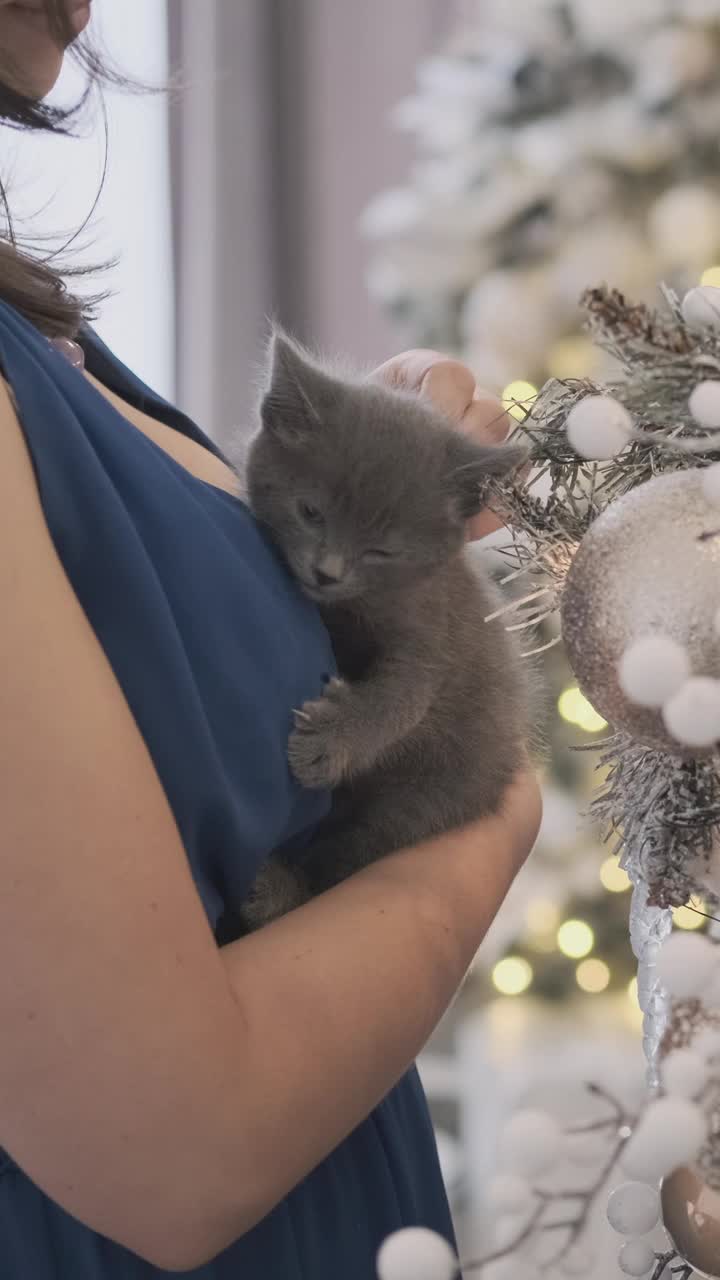 圣诞树旁抱着小猫的漂亮女人视频素材