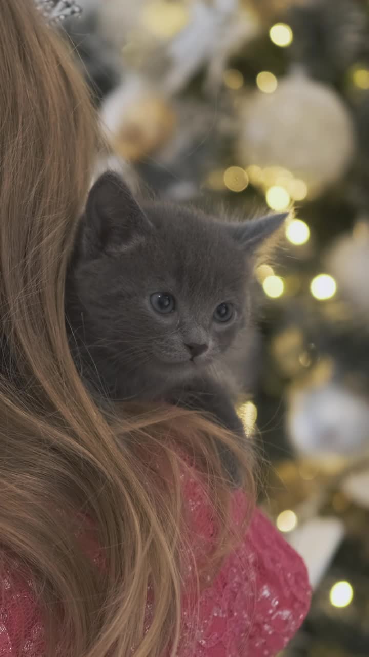 小女孩抱着小猫在圣诞树旁视频素材