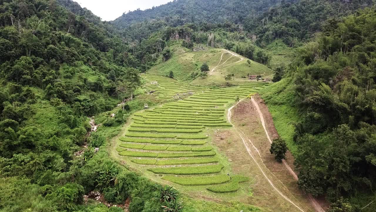 这是泰国清莱省Nang Lae区Likhai村梯田的鸟瞰图。视频素材