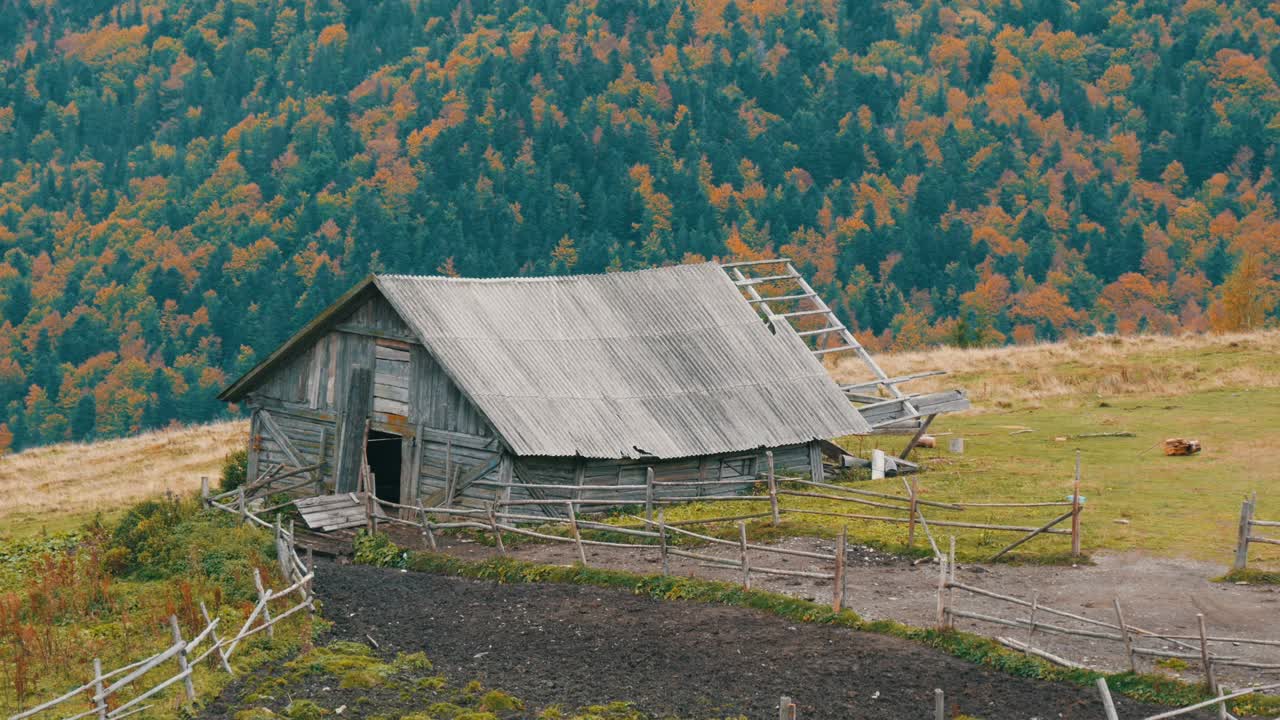 秋天，在风景如画的喀尔巴阡山脉的背景下，为牛群建造的旧木制废弃木屋视频素材