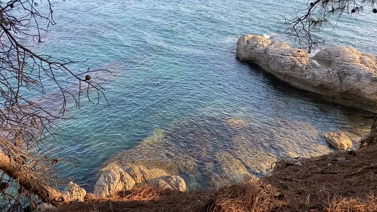 地中海多岩石的海岸线。松枝悬在蓝绿色的海水上。美丽的夏天海景。和谐、放松、宁静。黑山的自然风光。视频素材