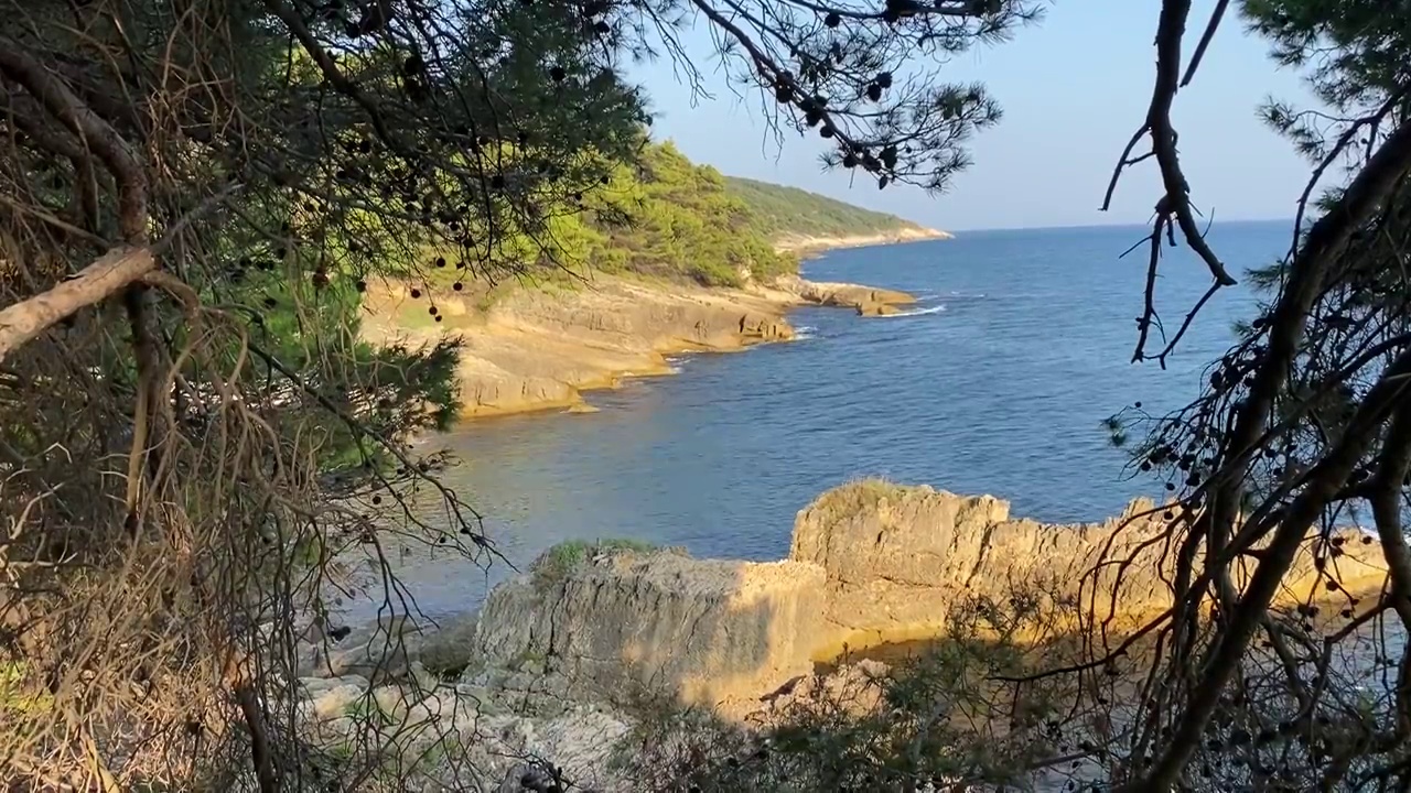 地中海的岩石海岸。松枝悬在蓝绿色的海水上。美丽的夏天海景。和谐、放松、宁静。黑山的自然风光。视频素材