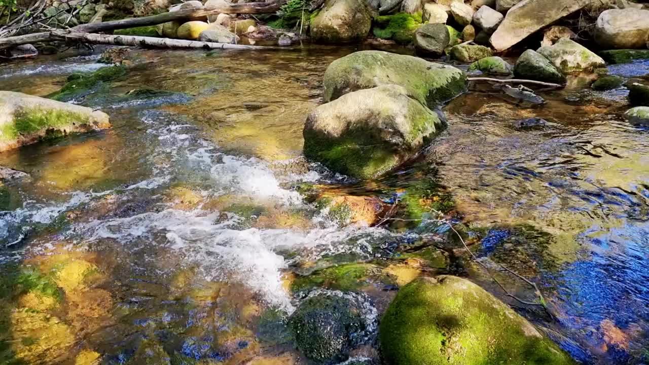 公园里的小山林河流视频素材