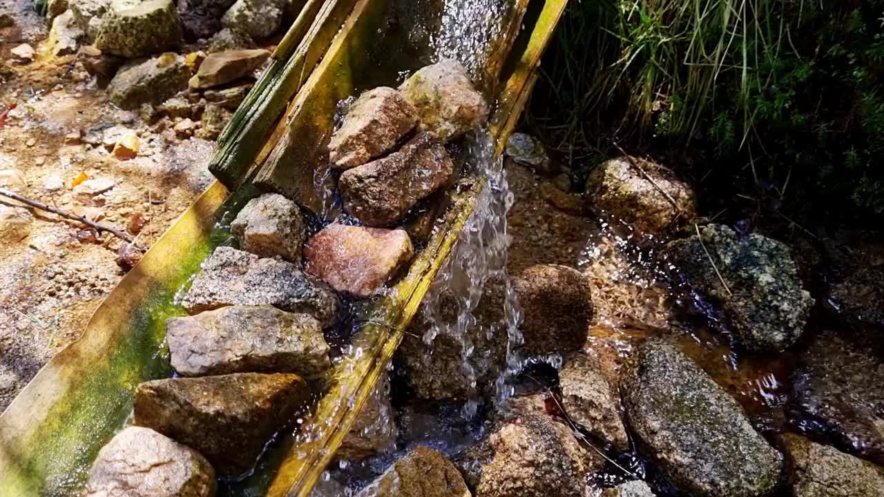 冰冷的清水流过森林里的小石头。胶片颗粒，焦距不清视频素材