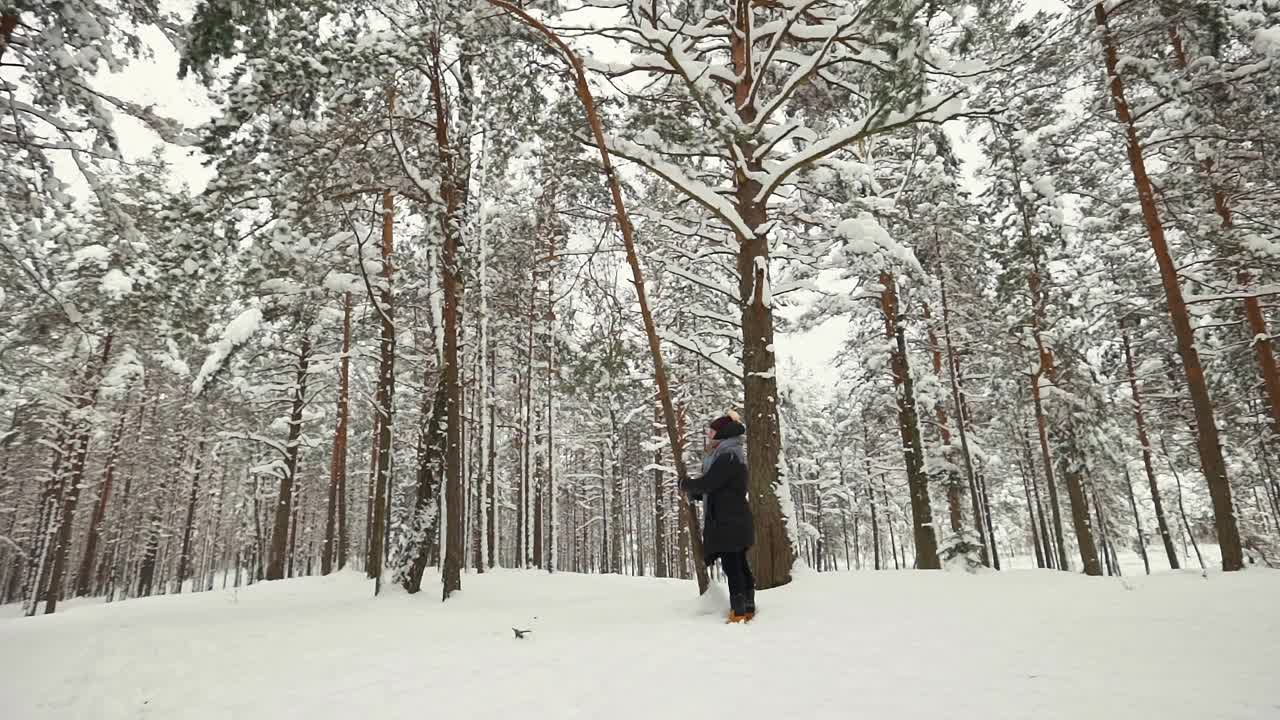 年轻女子摇树与雪飘落在冬天的森林视频素材