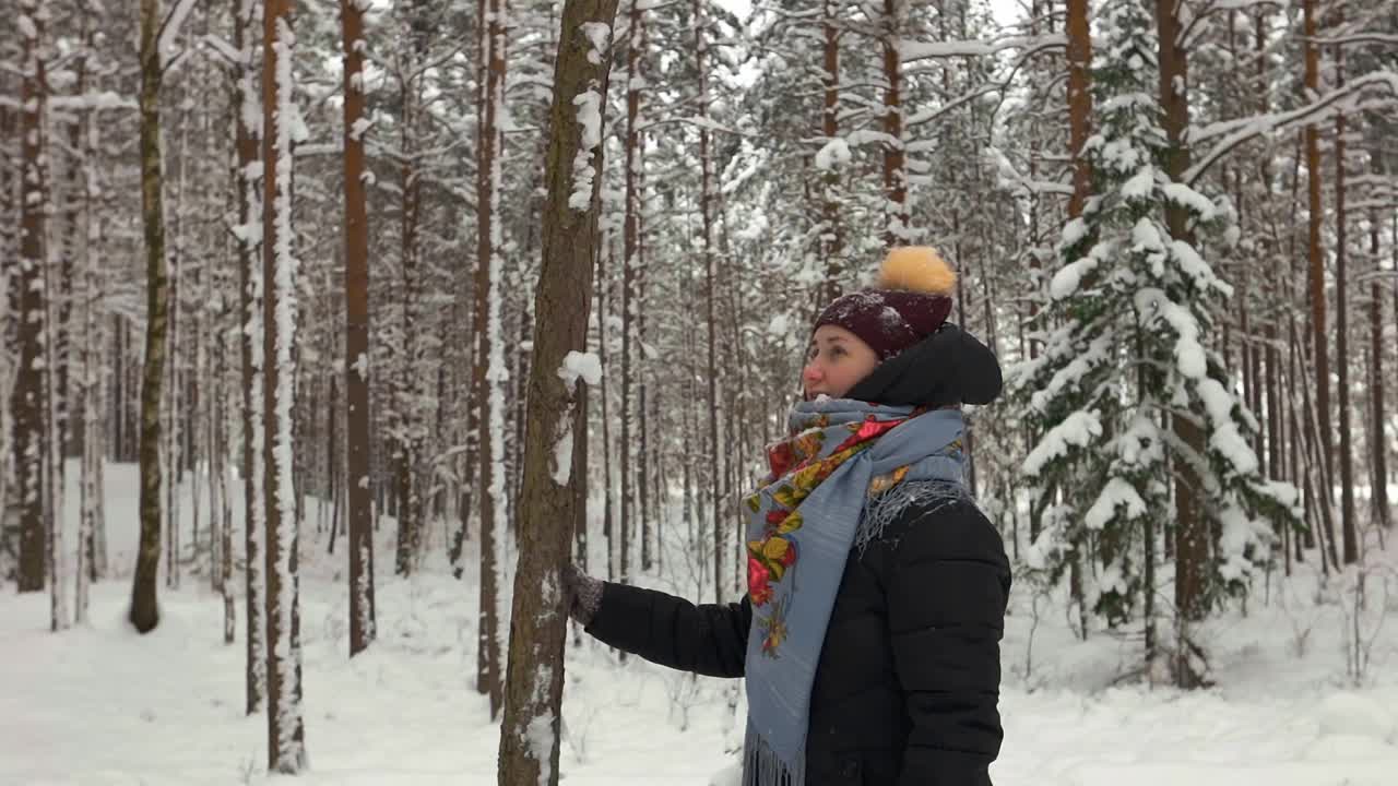 微笑的年轻女人穿着温暖的衣服摇晃树和在冬天的森林里被雪覆盖视频素材