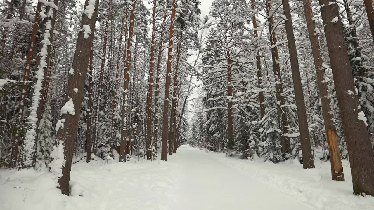 大雪覆盖的冬季森林的广角视图视频素材